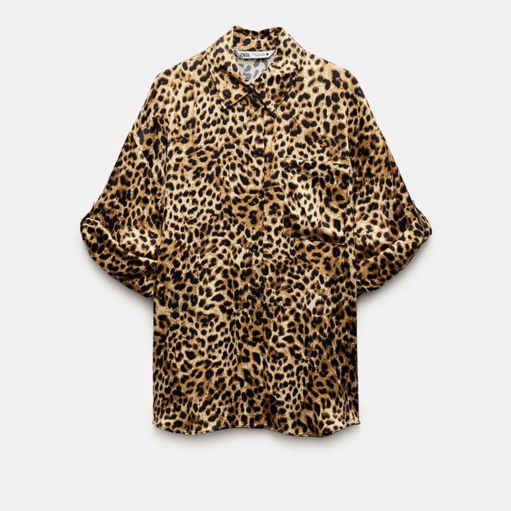 Zara Leopard print top